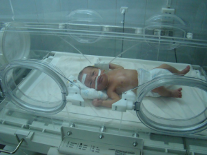 2014 - Babies in incubators supplied by MSAVLC